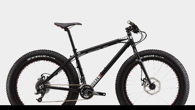 Endless Trail Bike Shop bike unit