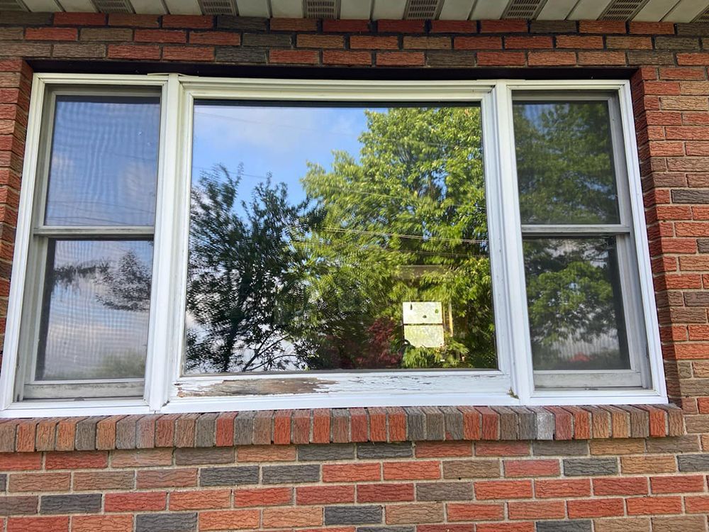 A white window on a brick wall with trees reflected in the window.