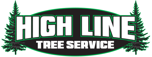 High Line Tree Service Massachusetts - logo