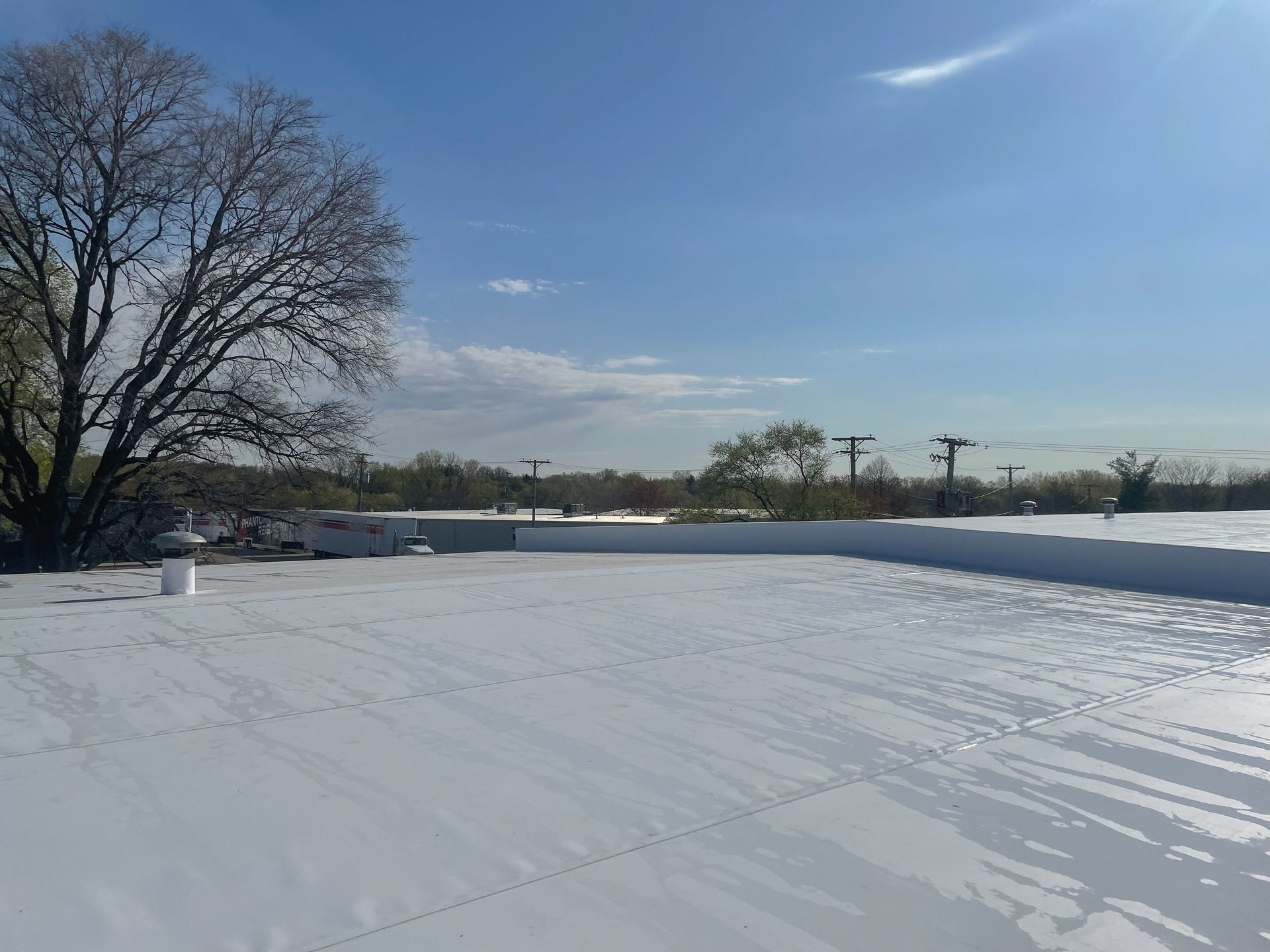 Snow-covered rooftop under a clear blue sky, with bare trees and distant buildings on the horizon.