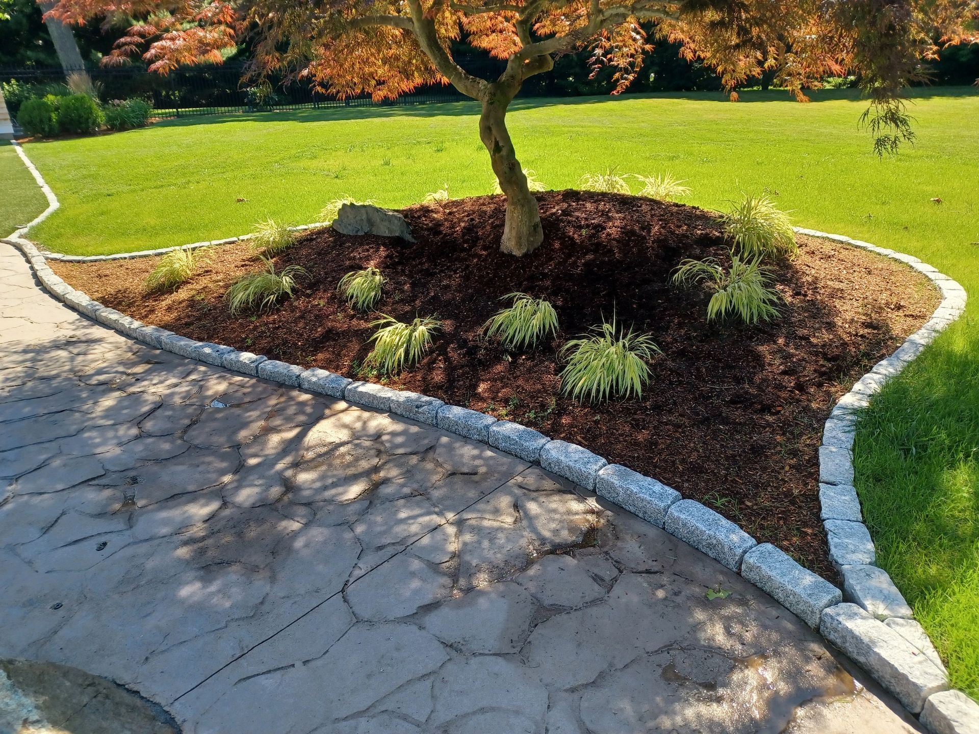 A stone walkway with a tree in the middle of it
