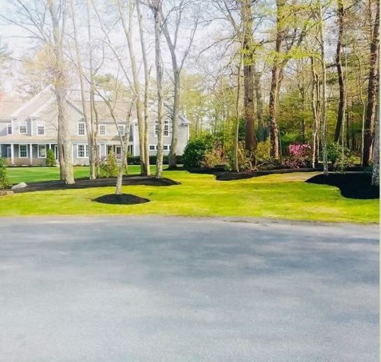 A house with a lot of trees in front of it