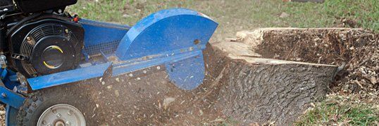 Stump Grinding