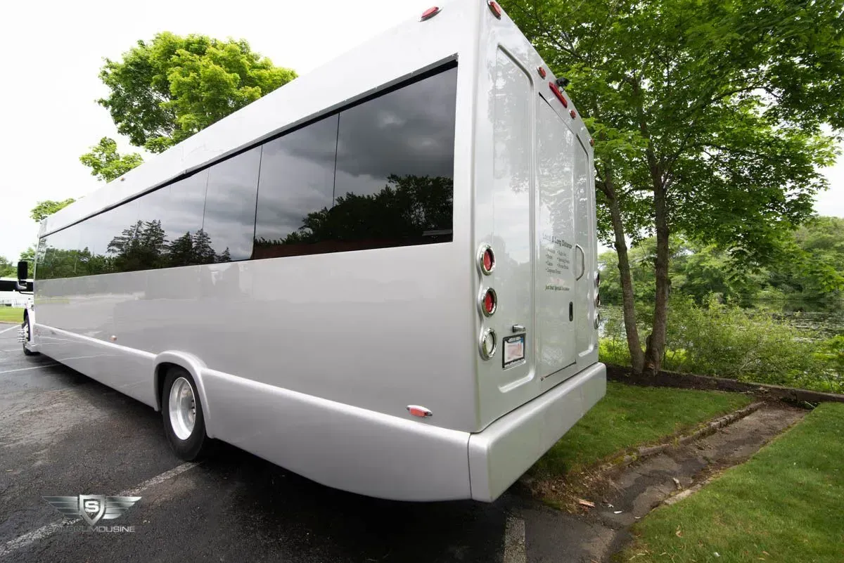 Silver passenger bus parked next to a grassy curb. Large windows, taillights, trees in the background.