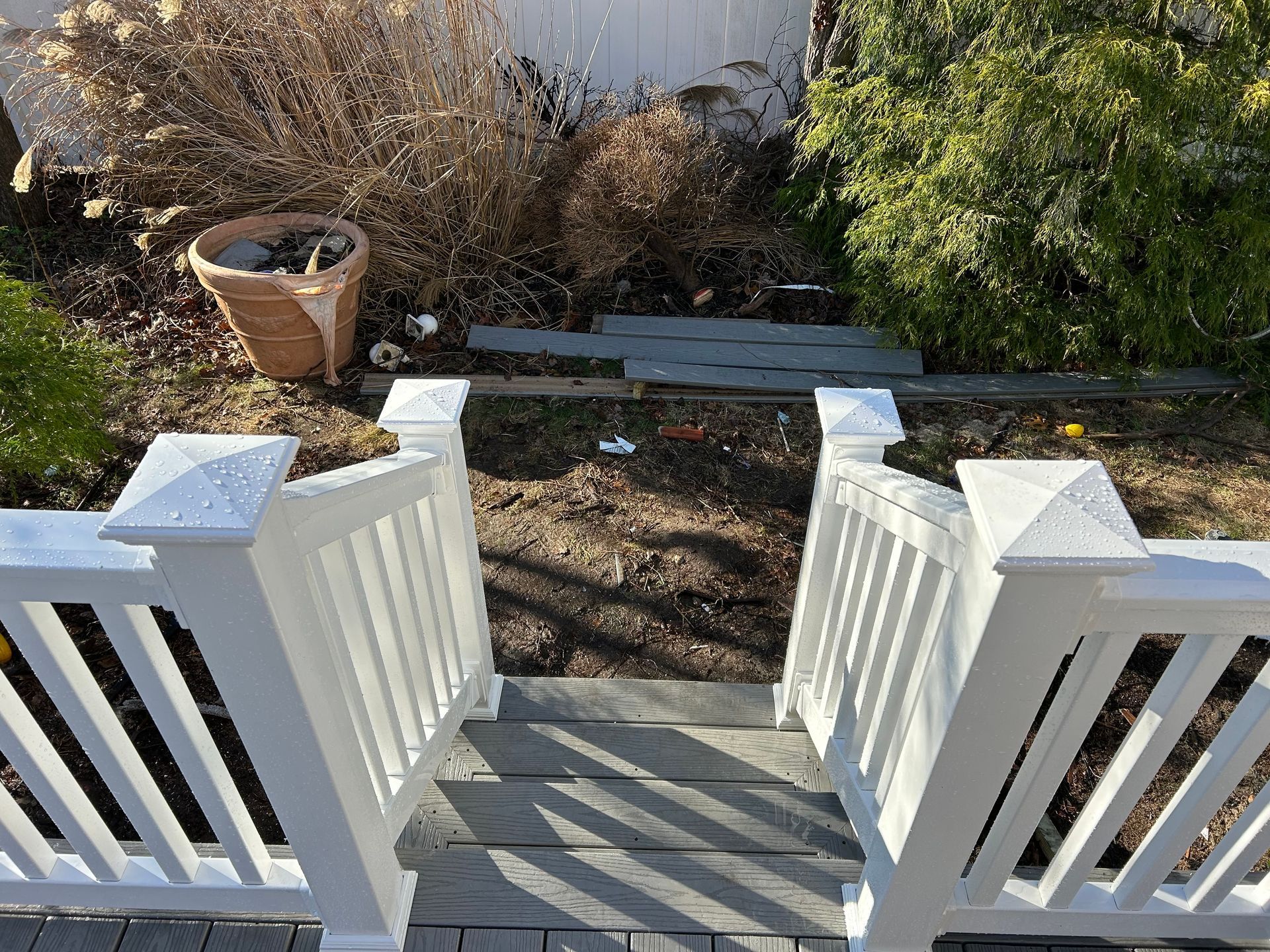 White railing with steps leading to a yard with overgrown plants and a terracotta pot.