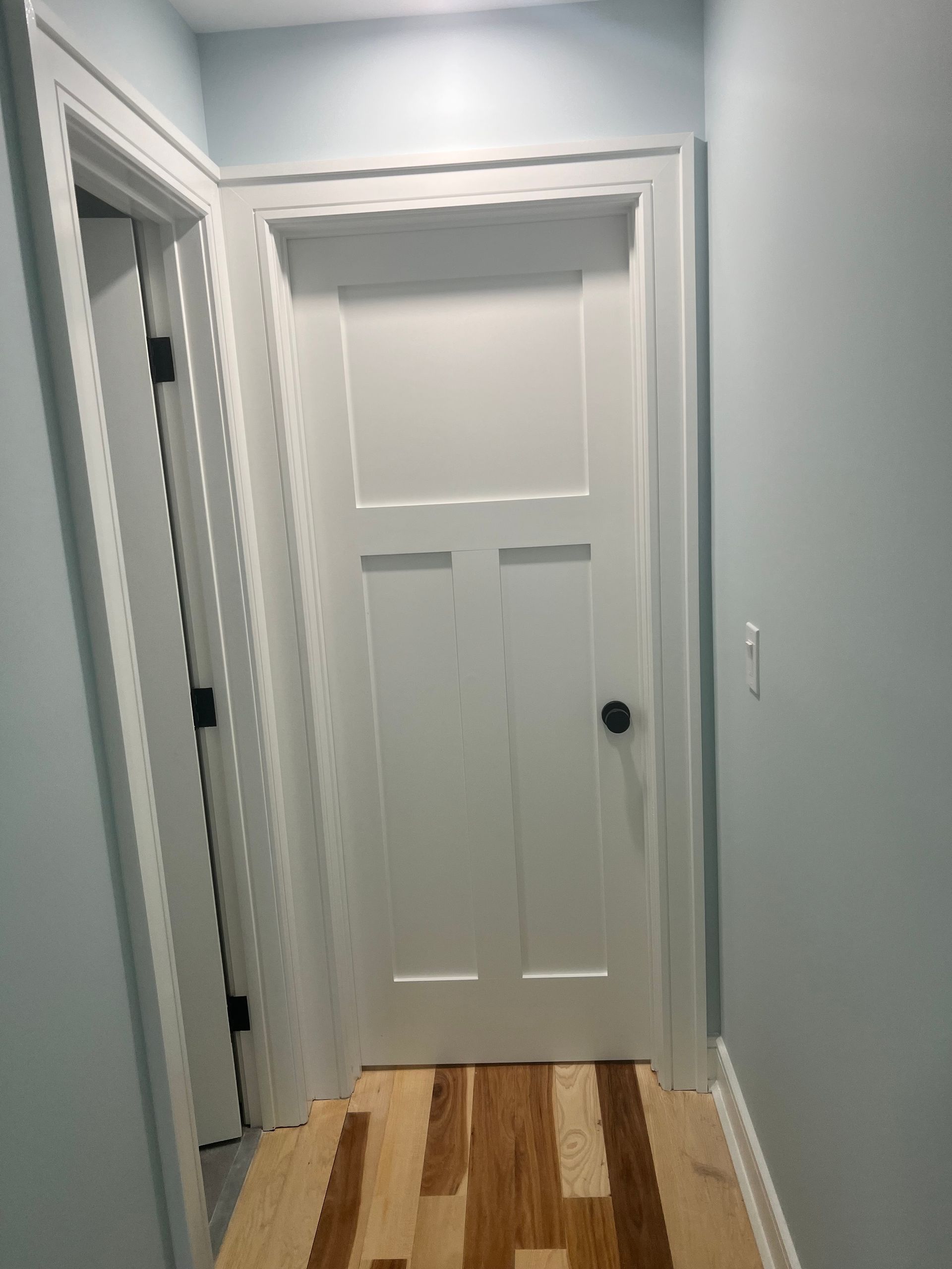 Hallway with white door, light blue walls, and hardwood floor. Another door is visible on the left.