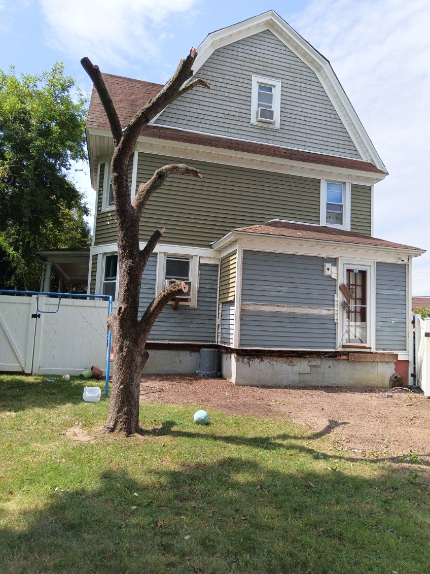 Two-story house with green siding and a bare tree in front on a sunny day. A blue ball sits on the grass.