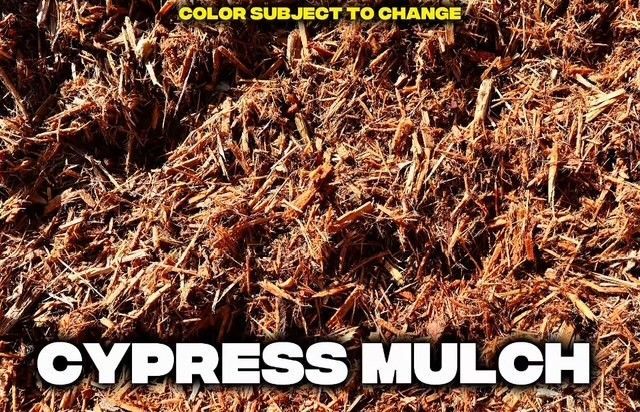 Cypress mulch