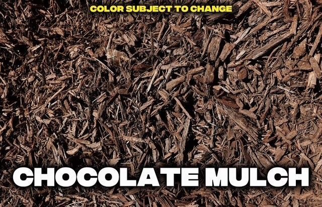 Chocolate mulch