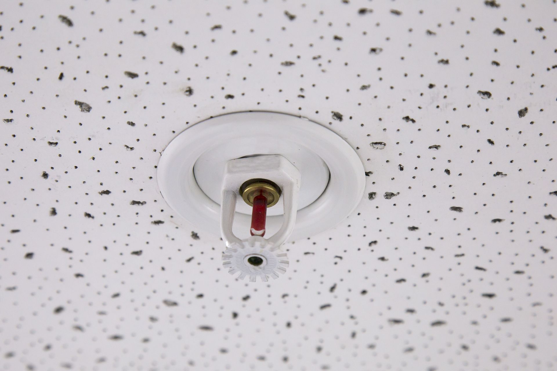 The Essential Protection of Fire Sprinkler Services