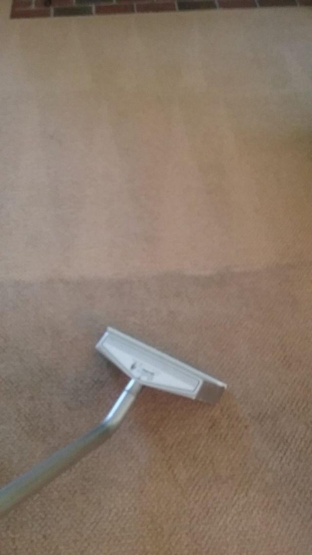 Carpet Cleaning