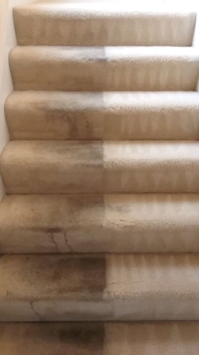 Carpet Cleaning