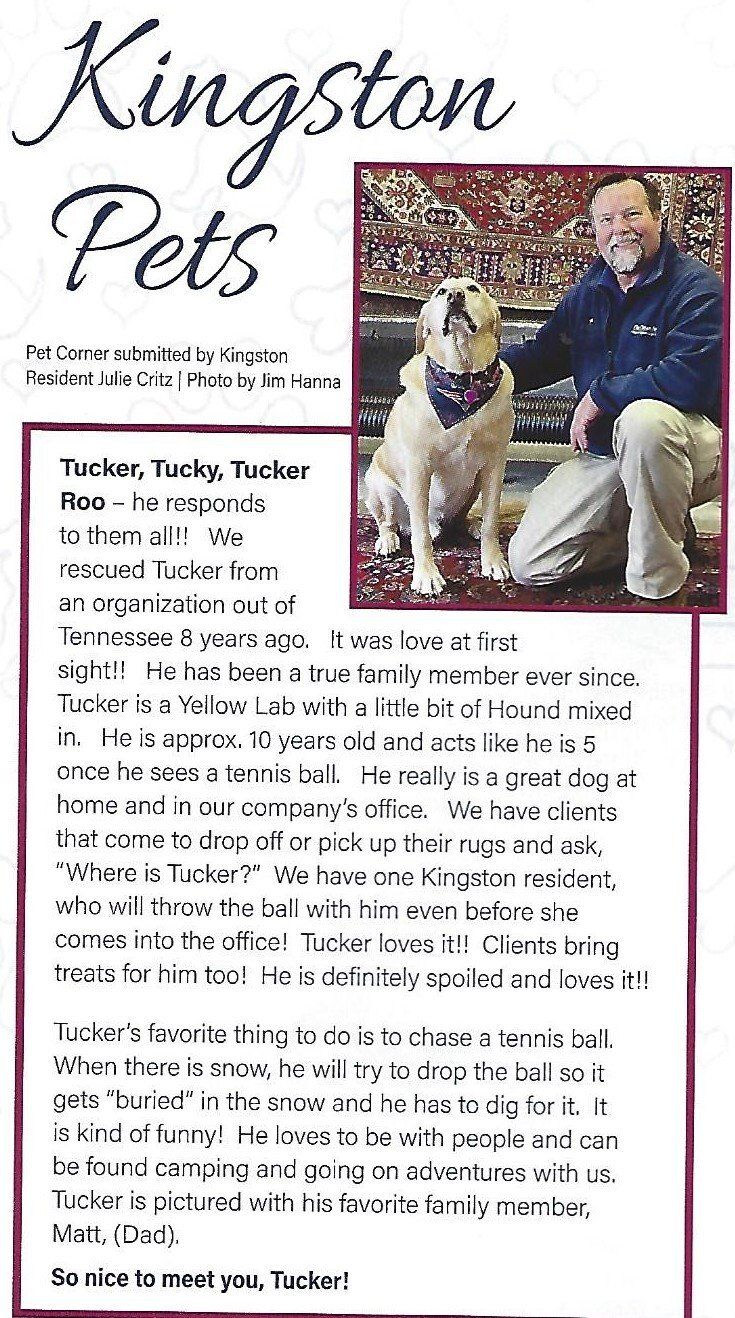Tucker - Pet of the Month