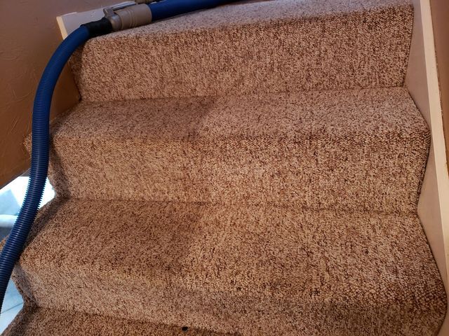 Carpet Cleaning