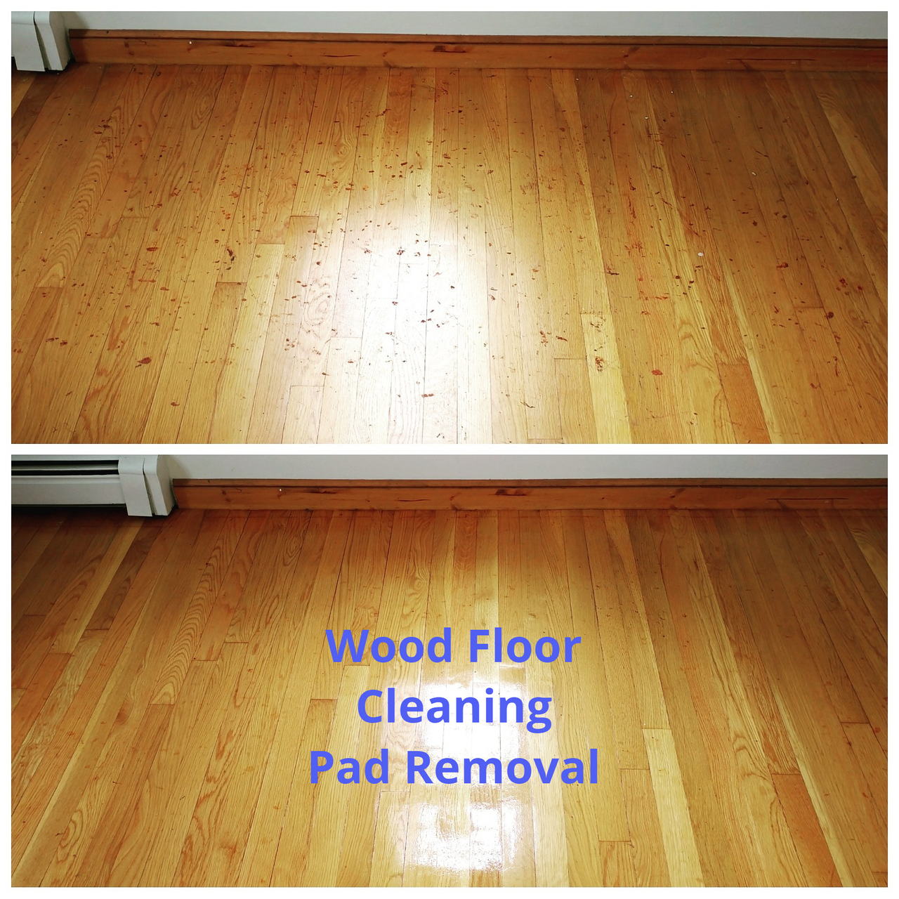 Wood Floor Cleaning