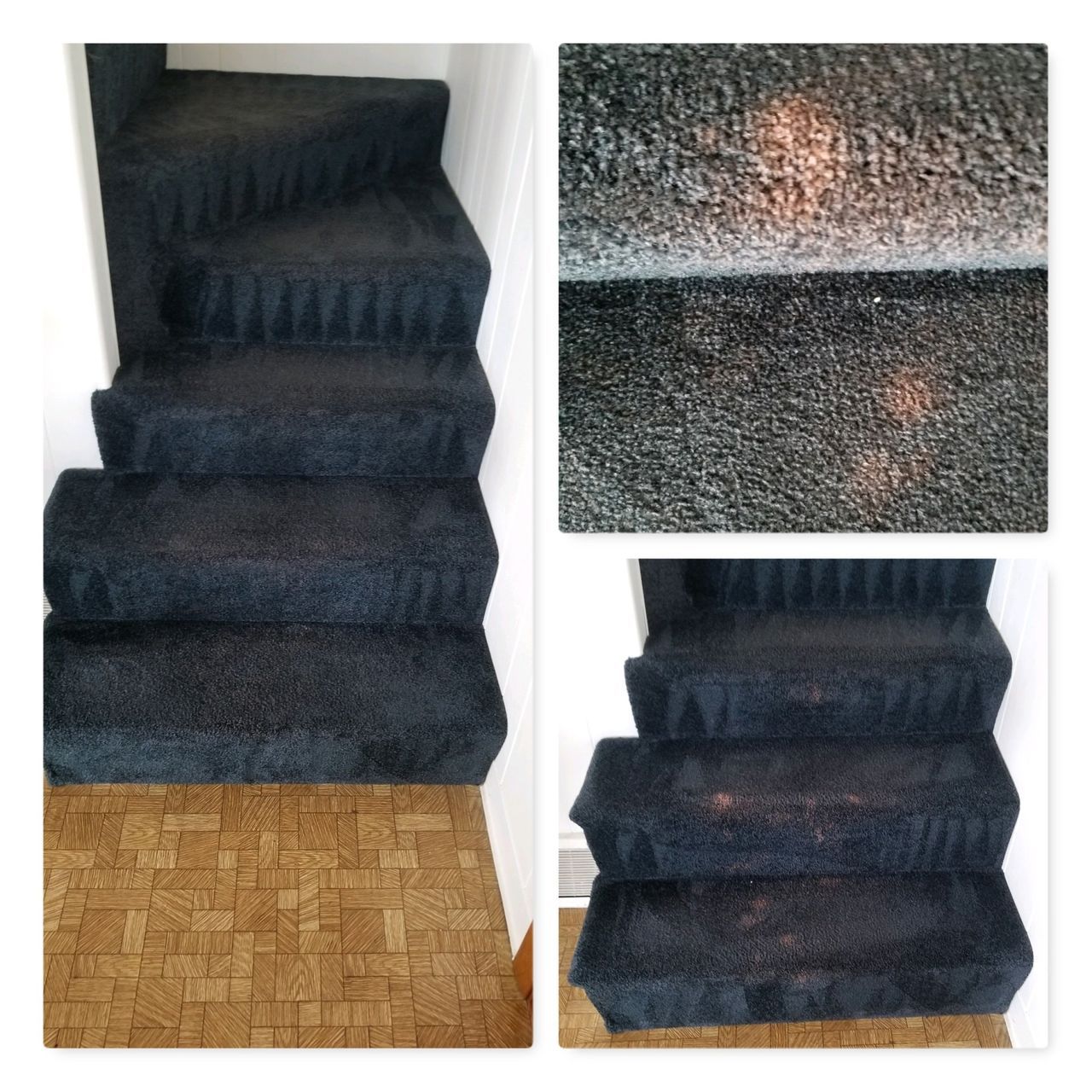 Before and After Cleaning