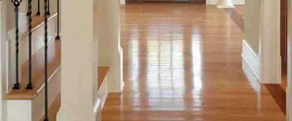 Hardwood Floor Cleaning