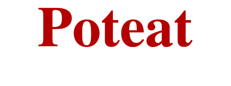Poteat Septic & Excavation logo