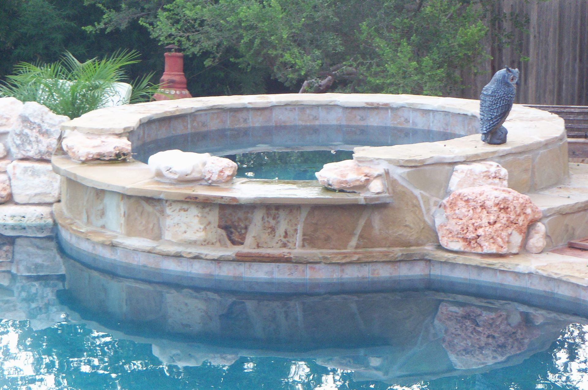 A statue of an owl sits on the edge of a swimming pool