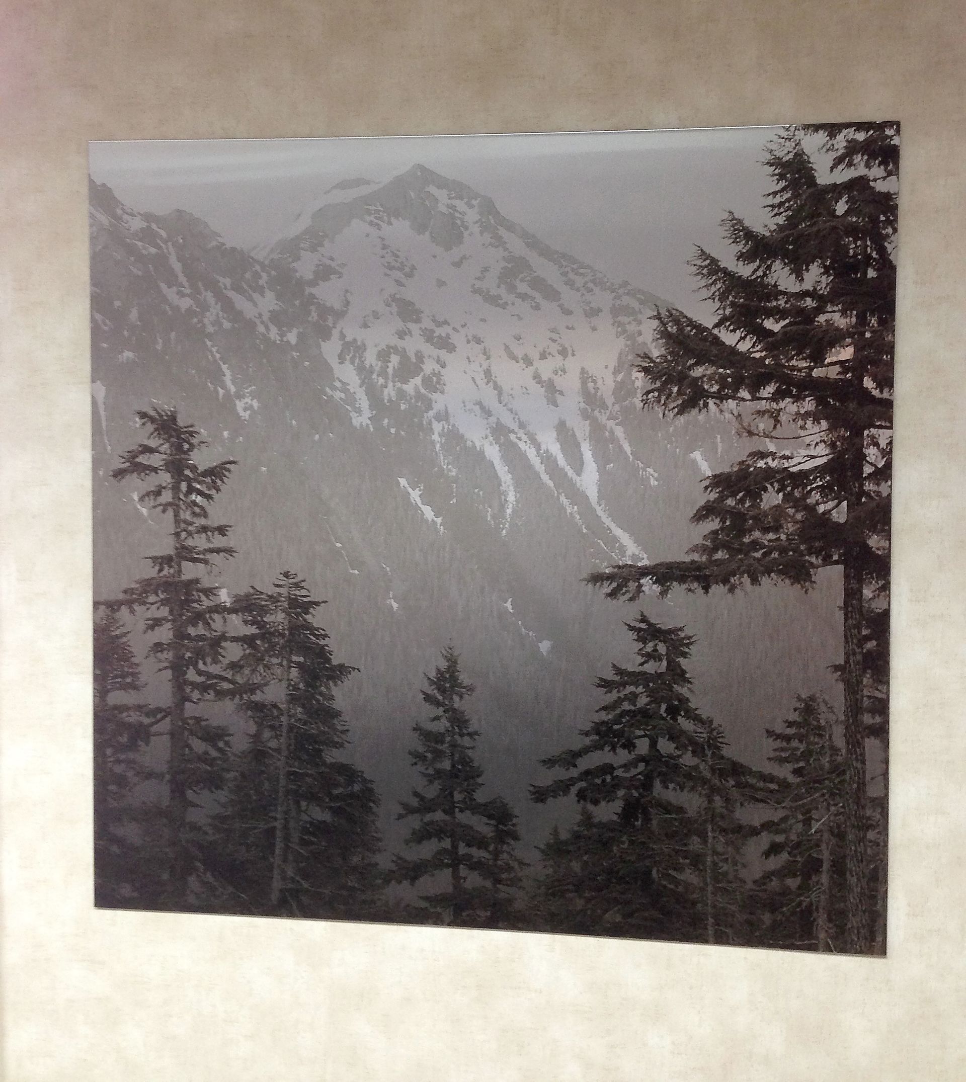 Mountains and trees in misty gray landscape.