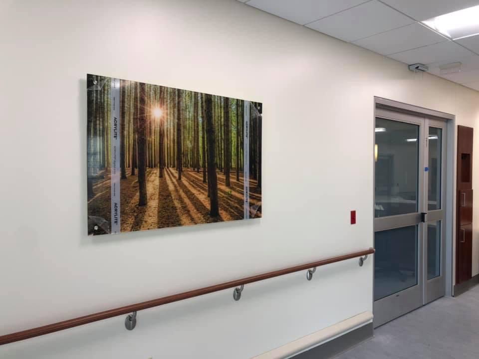 A photograph of a forest scene on a wall in a hallway. The sun is shining through the trees.