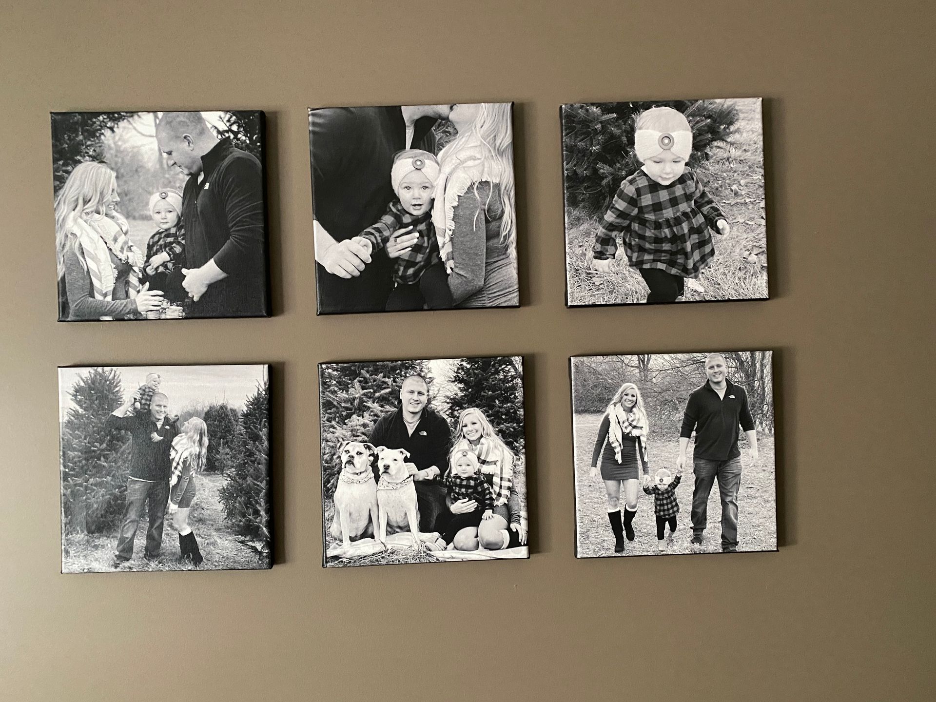 Six square black and white canvas family photos on a brown wall; featuring people of all ages.