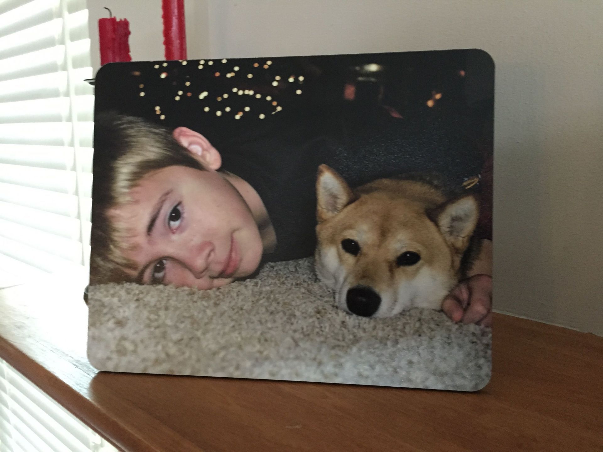 Boy and Shiba Inu dog resting on a gray surface, smiling. Dark background, near a window and candles.
