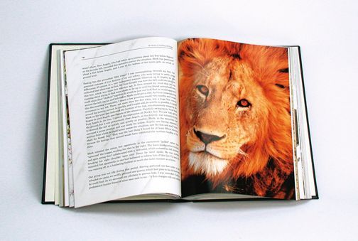 Open book with text on the left page and a lion's face on the right; against a white backdrop.