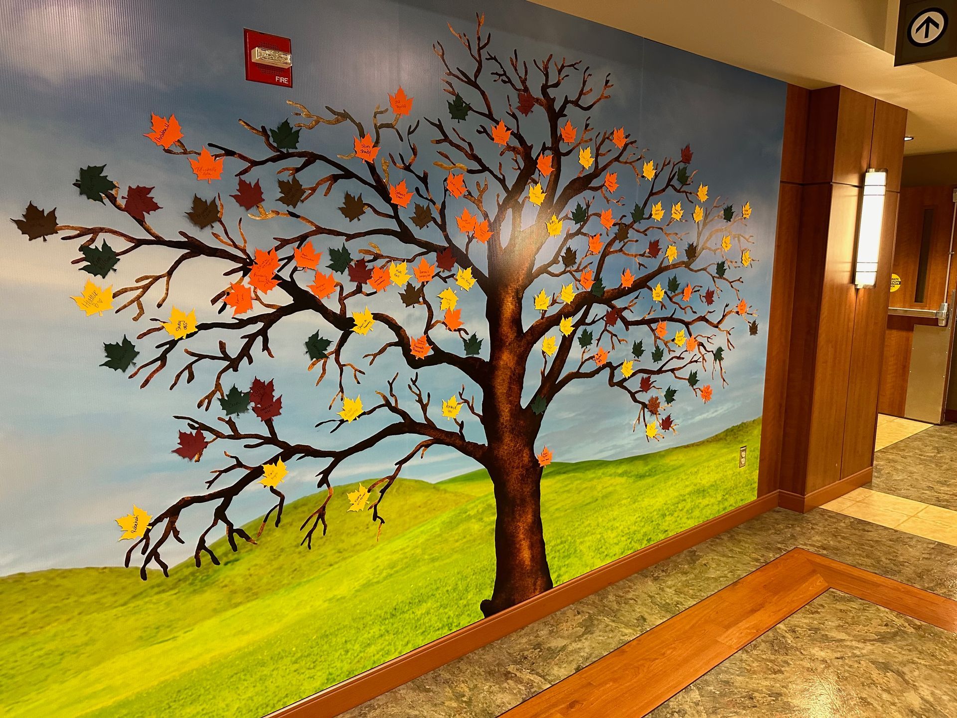 Mural of a tree with colorful leaves on a blue sky and green grassy background in a hallway.