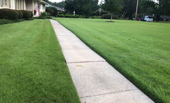 Cut N' Edge LLC