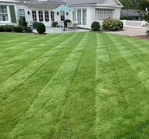 Cut N' Edge LLC