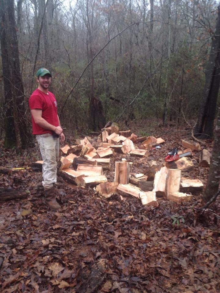 Man in red shirt and green hat stands beside a pile of freshly chopped wood in a forest.