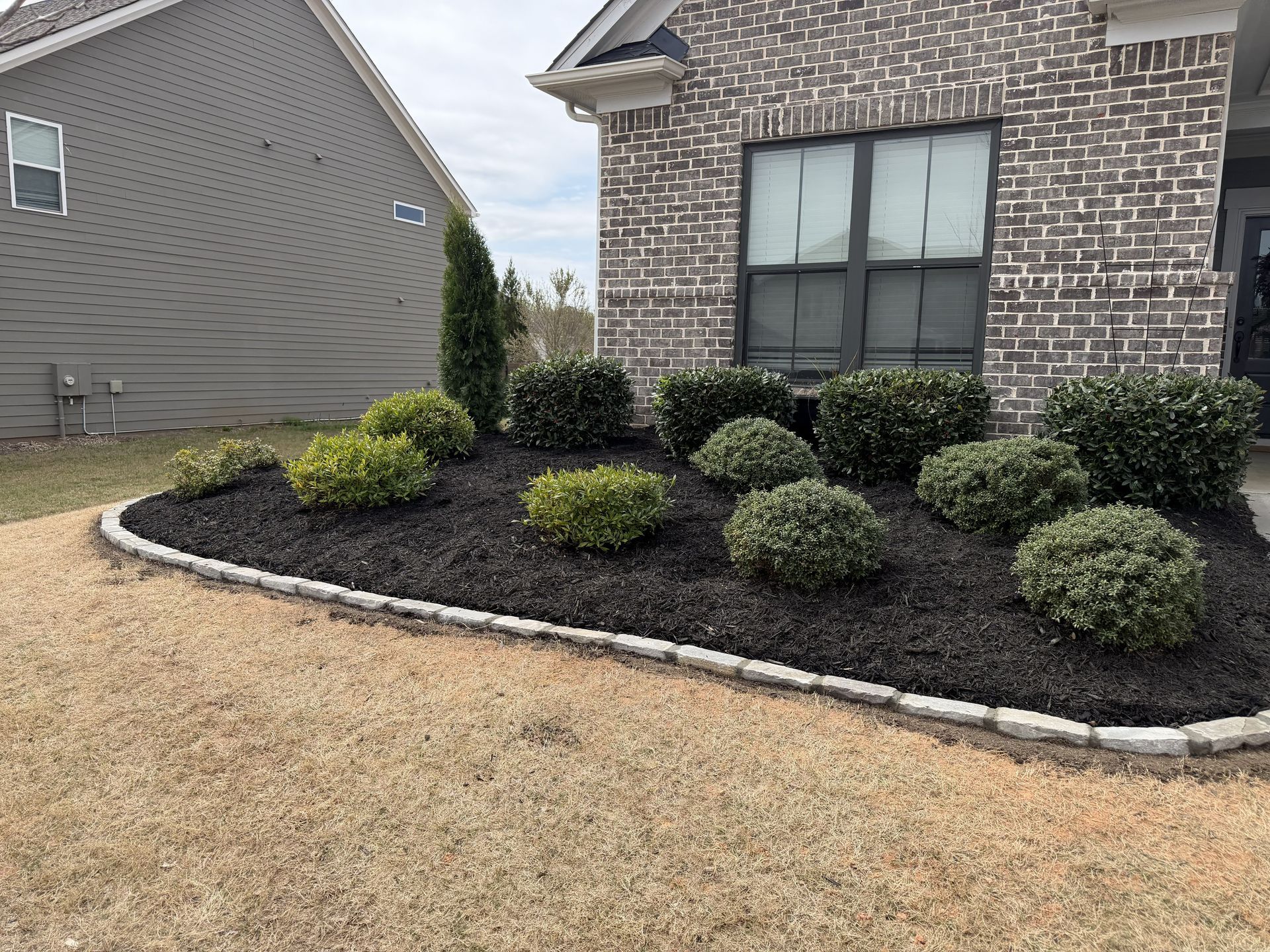 A landscaped garden bed with rounded shrubs and dark mulch, bordered by stone pavers in front of a brick house.