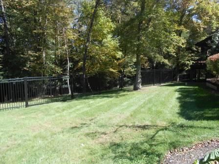 A lush green lawn with a black fence and trees in the background.