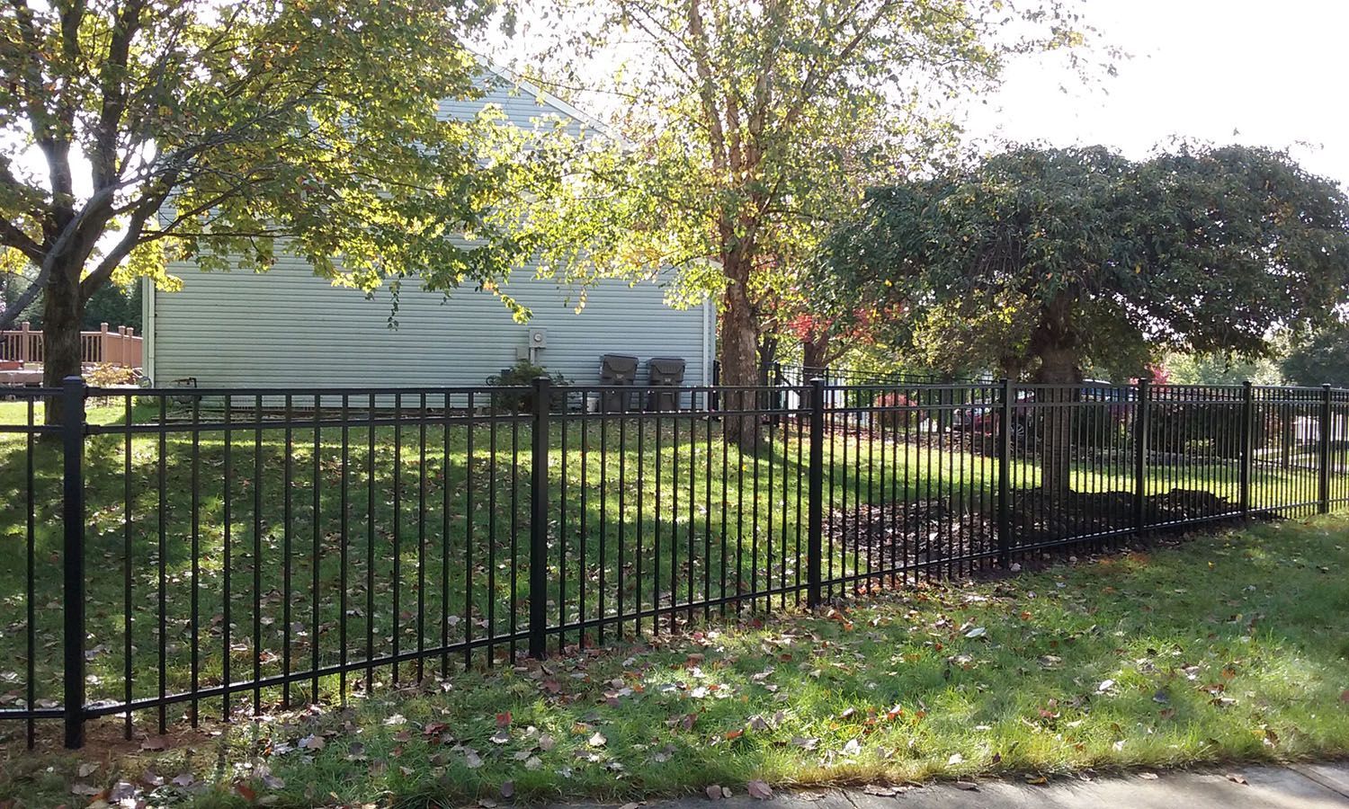 A black fence surrounds a yard with trees and a house in the background.