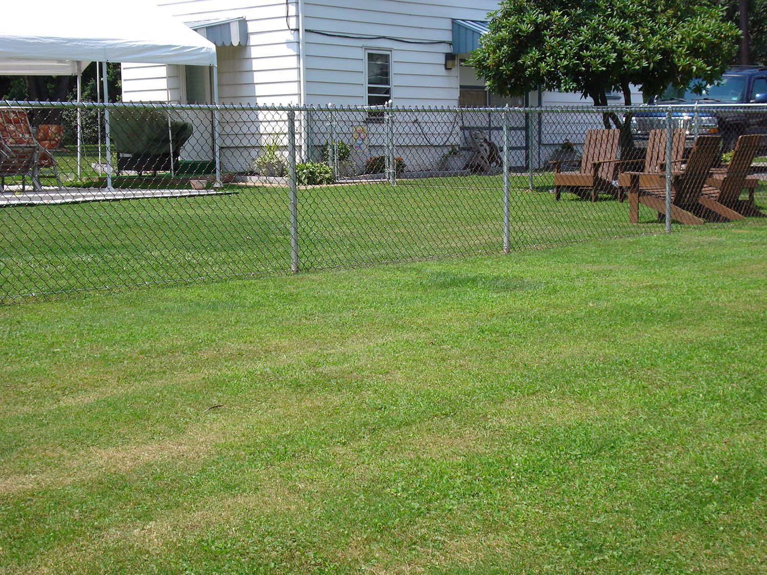 A chain link fence surrounds a lush green lawn in front of a house.