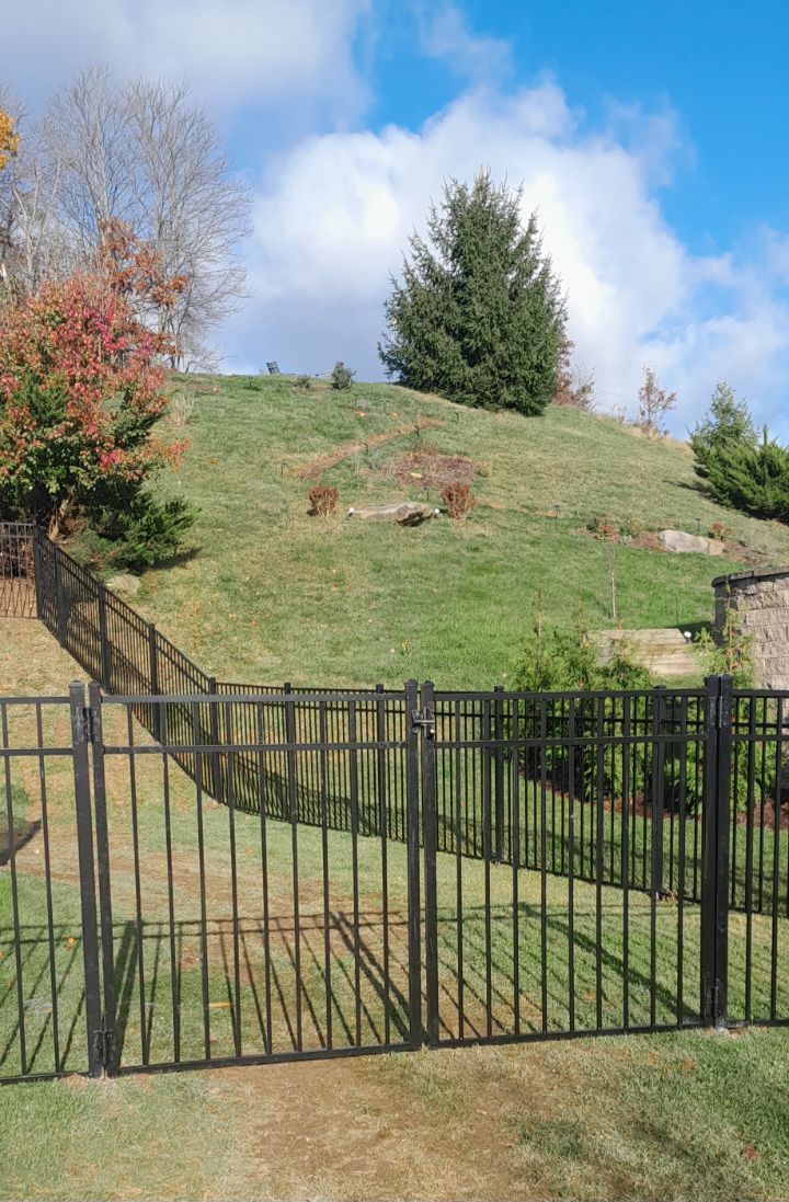 A black fence surrounds a grassy hill with trees in the background.