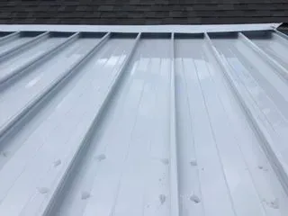 White metal roof with dark shingles visible at the top edge.