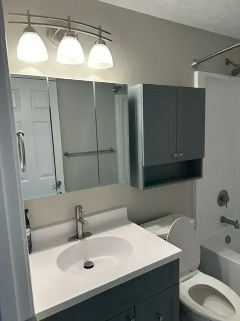 Bathroom with a vanity, toilet, medicine cabinet, and shower/tub.