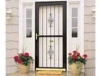 Black security door with decorative scrollwork, flanked by sidelights and potted flowers.