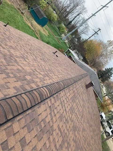 Brown shingled roof with a black ridge cap. Green grass and a blue shed are in the background.