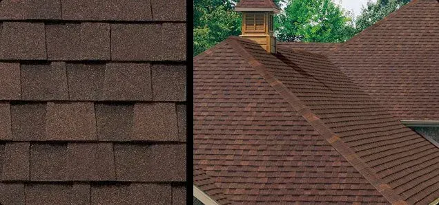 Close-up of asphalt shingles on a roof, demonstrating their texture and color.
