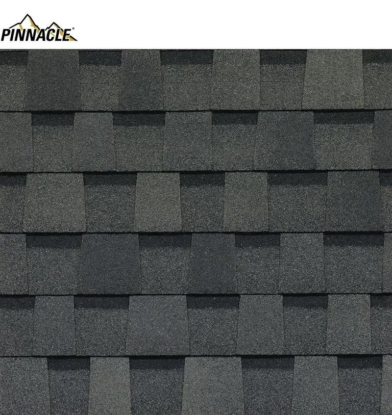 Close-up of gray asphalt roof shingles with the 
