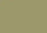 Solid olive-green background.