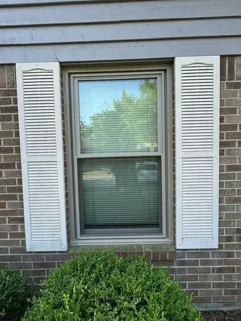 Window with white shutters on a brick wall, with a shrub below.