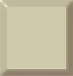 Light beige square, possibly a tile, with a glossy, reflective border.