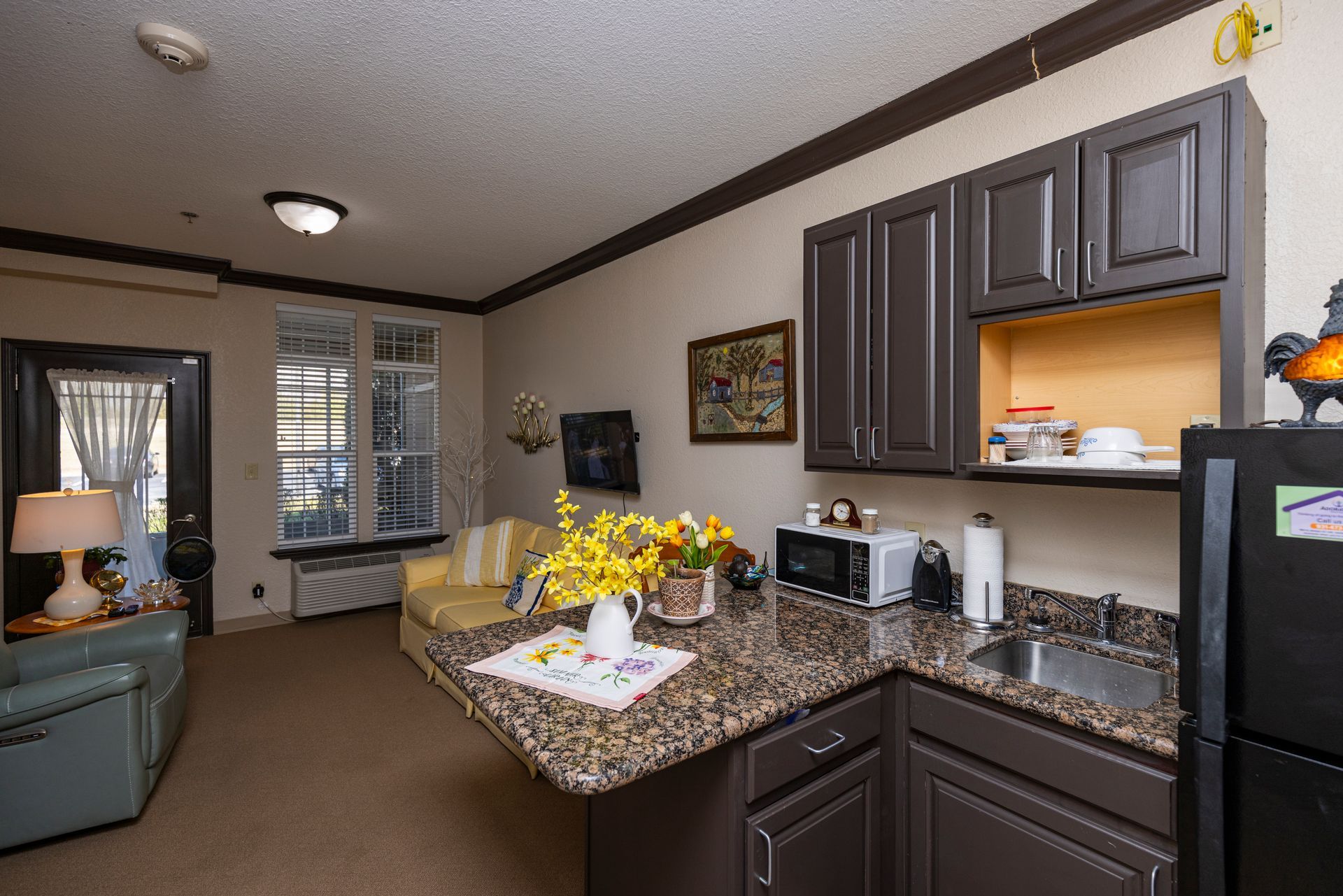 A small apartment kitchenette with dark cabinetry, granite countertops, and an open view into a cozy living area.