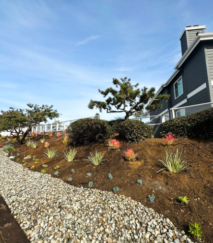 Landscaped hillside with small trees, shrubs, and colorful plants. Brown soil, gravel path, and building with blue siding.