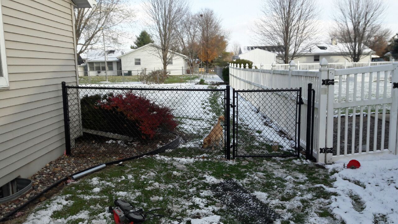 A chain link fence is in the backyard of a house.