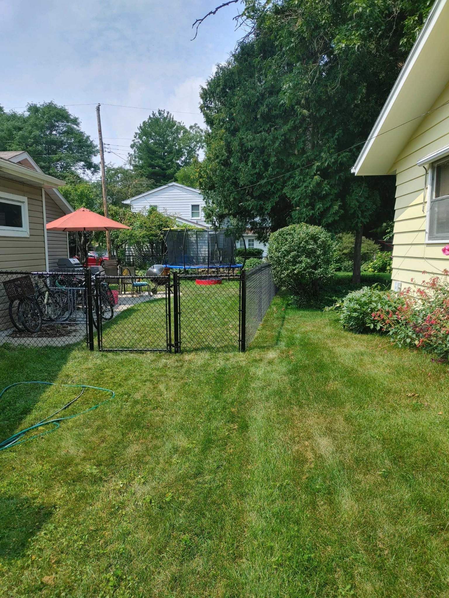 A lush green yard with a fence and a house in the background.